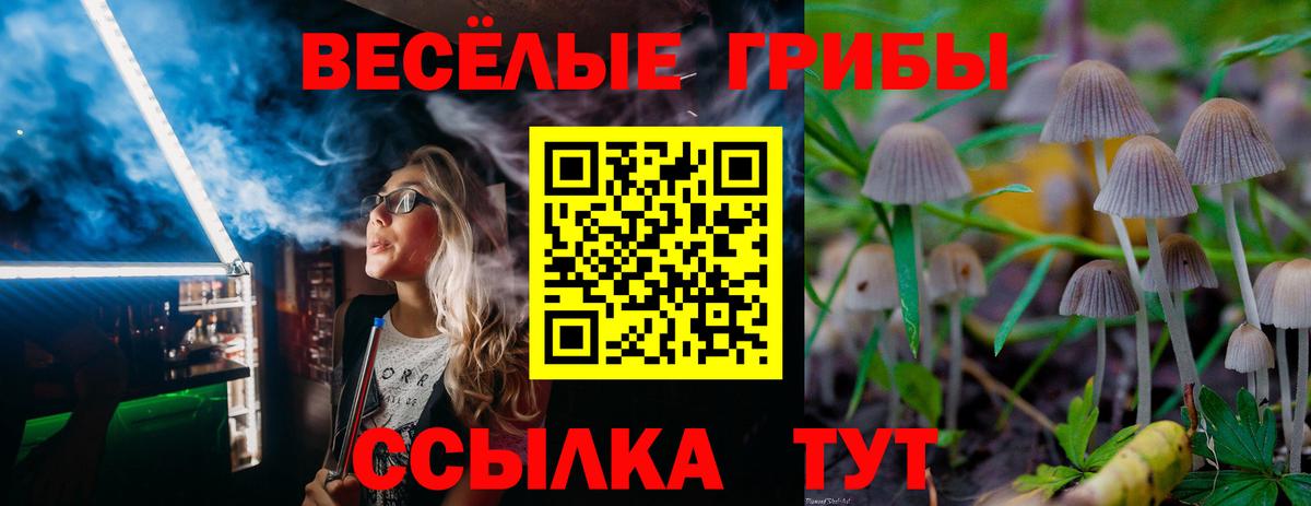 Галлюциногенные грибы GOLDEN TEACHER Конаково