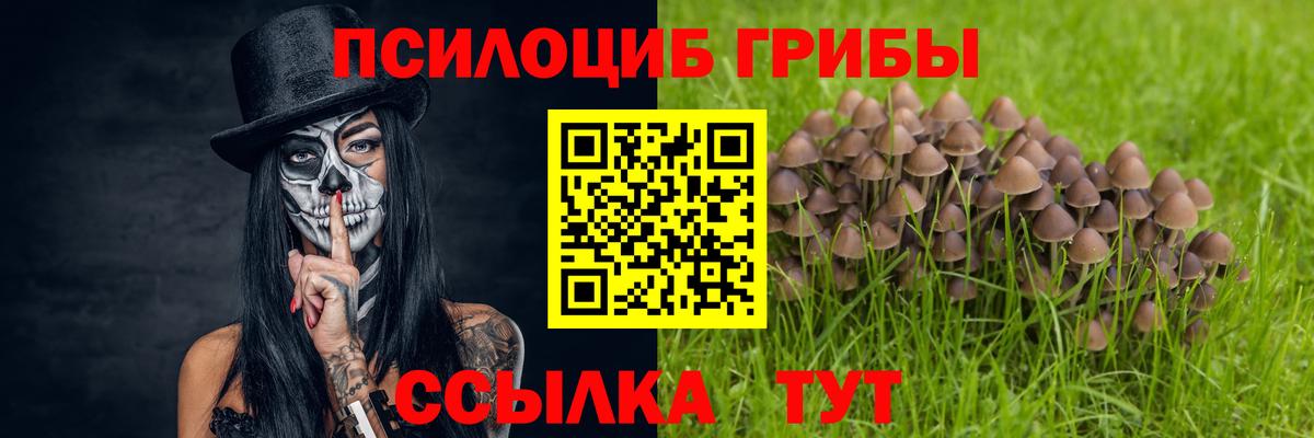 Псилоцибиновые грибы Cubensis  Псилоцибиновые грибы Magic Shrooms  Конаково  где купить наркоту  Вход с VPN 